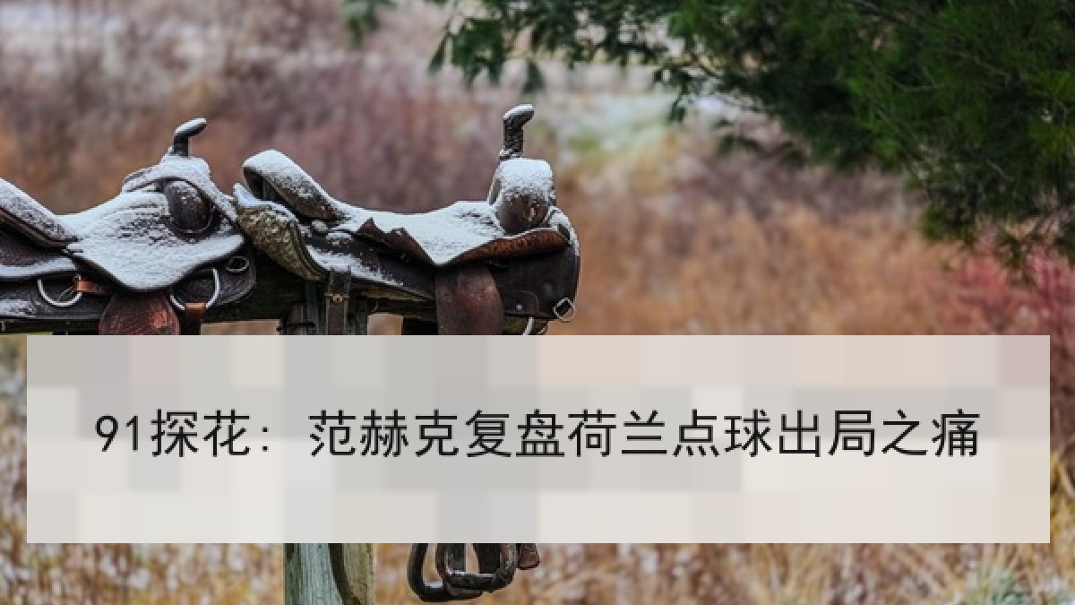 91探花: 范赫克复盘荷兰点球出局之痛